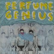 Perfume Genius Normal Song