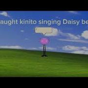 Daisy Bell Kinito Pet Cover