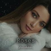 Hamidshax Roses