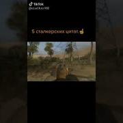 Диалоги Из Сталкера