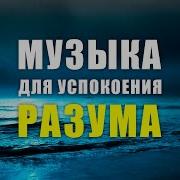 Тишина И Спокойствие Музыка