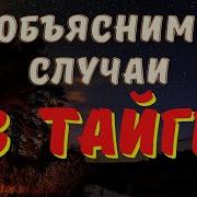 Охотничьи Байки