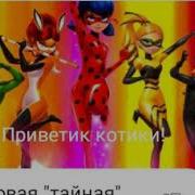 Переписка Леди Баг Супер Кота Рины Руж Карапаса