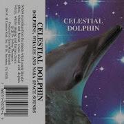 Celestial Dolphin