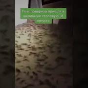 Вставай Донбасс Но Это Бравл Старс