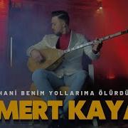 Mert Kaya