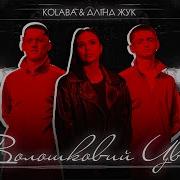 Волошковий Цвіт Аліна Жук