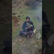Каклик Овда Шокир Бахши