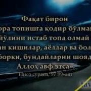 Куфр Диёрларида Яшашлик Ҳолатлари