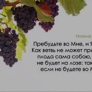 Я Есть Виноградная Лоза