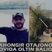 Jahongir Otajonov Baliq Ovida Oltin Baliq Tutdi