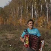Ну Оставила Стая Среди Бурь И Метели