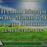 Библия Четвертая Книга Моисеева Числа