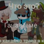 Что Это Просто Какая То Трава В Кипятке