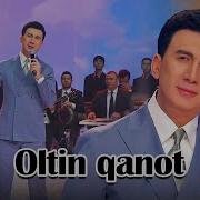 Botir Oltin