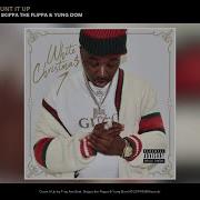 Skippa Da Flippa Count It Up Feat Troy Ave Skippa Da Flippa