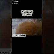 На Форточке Я Особо Опасен