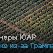 Фермерский Город В Южной Африке Вздохнул С Облегчением После Того Как Президент Сша Дональд Трамп
