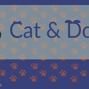 Txt Cat Dog Rus Cover