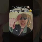 Мем Шайлушай