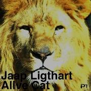 Alive Cat Original Mix