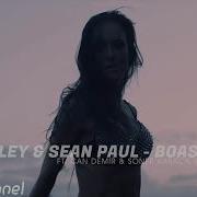 Wiley Sean Paul Boasty Hard Bass Remix