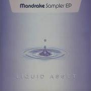 Mandrake Universal Soul The Digital Blonde Remix 2003