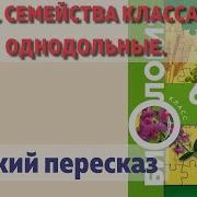 26 Параграф Биология 6 Класс