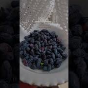 Уважаемые Знатоки Внимание Вопрос