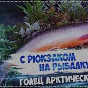 Русская Рыбалка Installsoft Edition 3 7 6 Подкаменная Тунгуска Кв