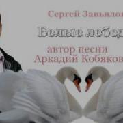 Лебеди Сергей Завьялов