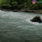 Моя Звезда Даргинская Песня Курбан Гусайханов