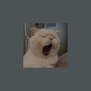 Are You Bored Yet Wallows Speed Up 8D
