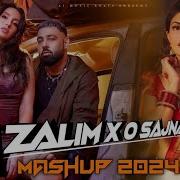 Zaalim X O Sajna Badshah Mashup 2024 Punjabi Pop Mashup 2024