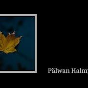 Palwan Halmyradow Bolar Indi