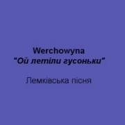 Українська Народна Пісня Ой Летіли Гусоньки