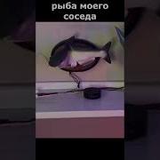 Говорящая И Поющая Рыба