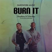 Shad Burn It Feat Tulenkey