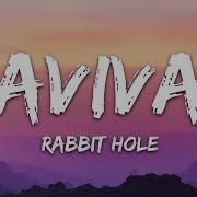 Aviva Rabbit Hole Rabbit Hole Meme Song
