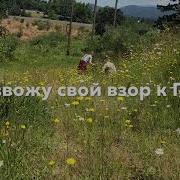 Я Возвожу Свой Взор К Горам