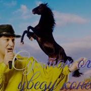 Султан Оглы Угоню Коней