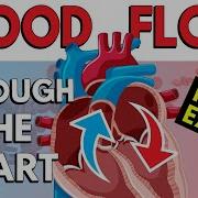 Bloodflow