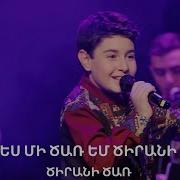Ես Մի Ծառ Եմ Ծիրանի Es Mi Car Em Cirani