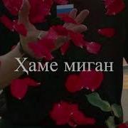 Ҳамсинфи Қалинам Музика