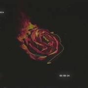 2Scratch X Prznt Tuyo Fuego Rose Prod By 2Scratch