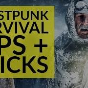 Frostpunk