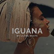 Ultra Beats Iguana Oriental Reggaeton Type Beat