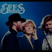 Bee Gees The Best Vol 2