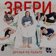 Звери Идите К Чёрту