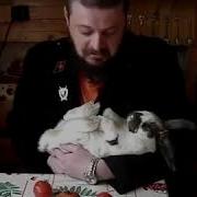 Виктор Пузо О Кошках